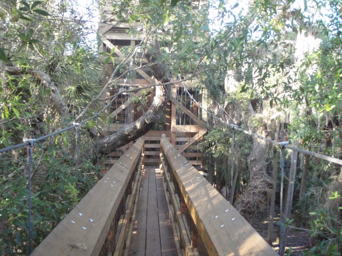 canopywalkwaytower
