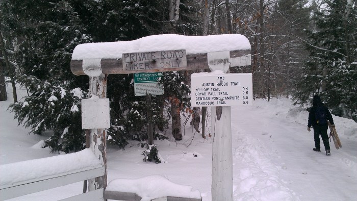 Heading out on the Austin Brook Trail.