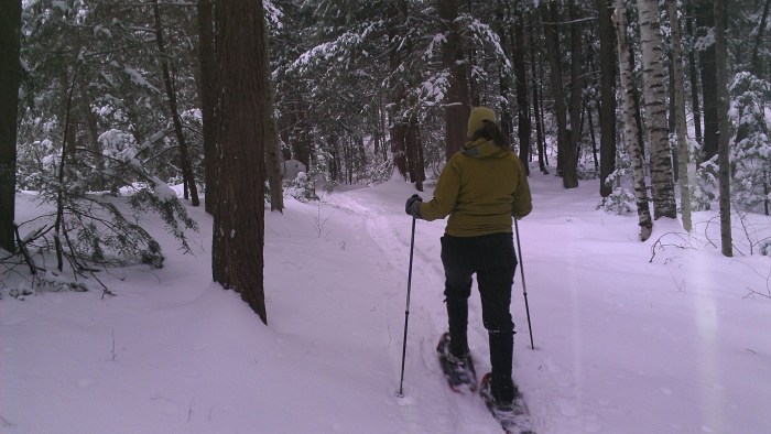 Lindsay snowshoeing on the Yellow Trail.