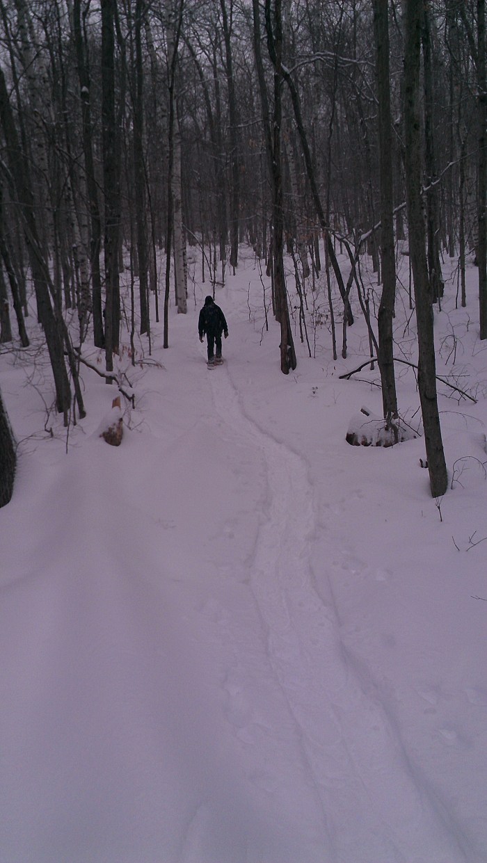 Andrew hiking through the open hardwood forest.