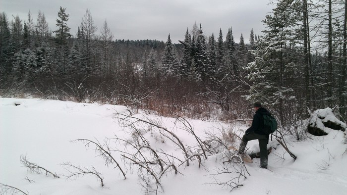 Andrew ventures out onto the Beaver Pond for a better view. 