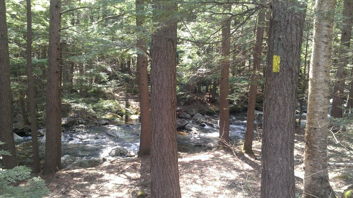 The hemlock forest and the rushing river.