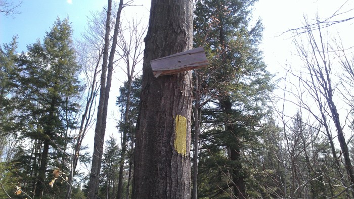 The trail sign is unreadable, but the entire trail is well marked with yellow blazes.