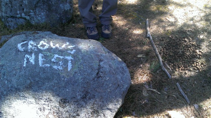 A marked rock lets you know you are there.  No sign of crows, but the moose were here.