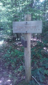The Moriah Brook Trail