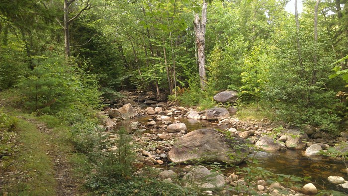 We hiked along the Austin Brook in search of the cable car.