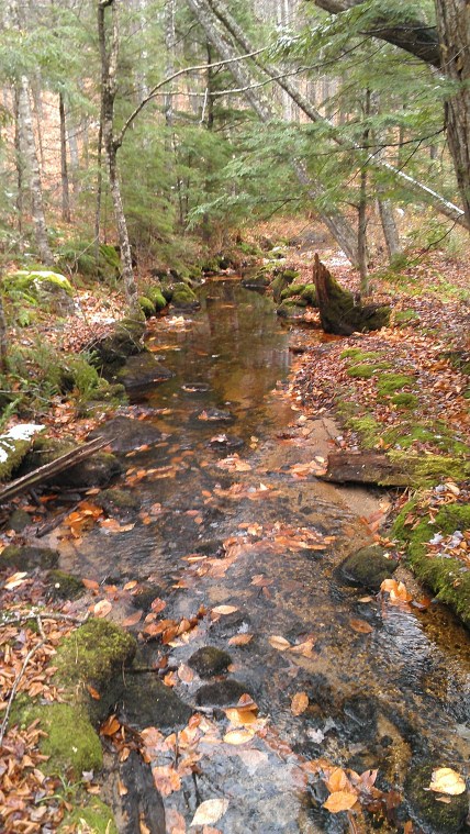 A waterfall along the Shell Pond Loop trail.