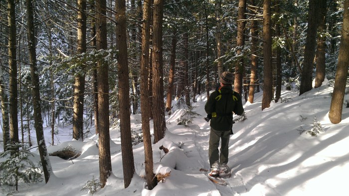 A pleasant hike at Moose Brook State Park. 