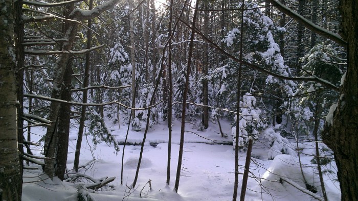 Perkins Brook is mostly snow covered.