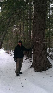 Andrew points out a large hemlock next to the trail.