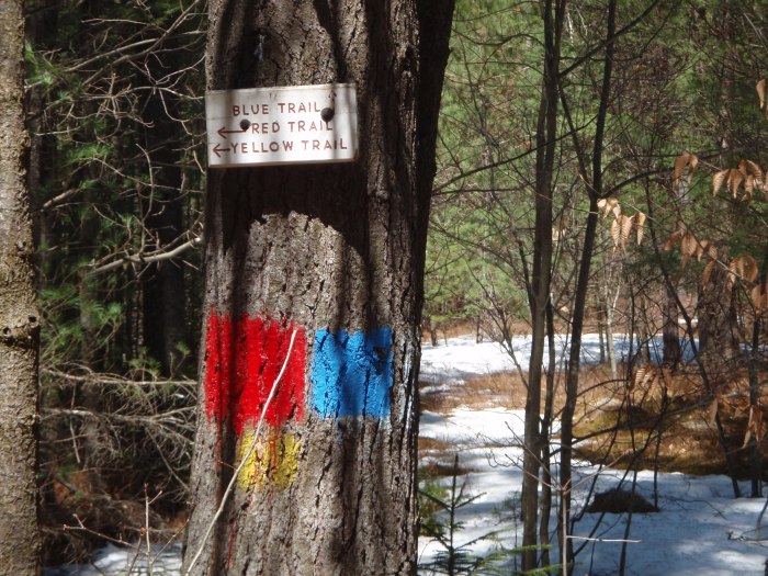 The junction where the blue trail splits from the red and yellow trail.  
