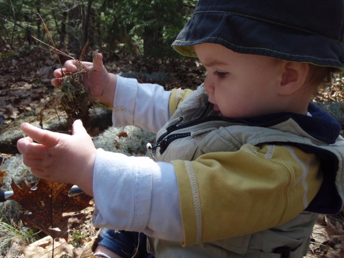 Alden enjoys playing in the leaves.