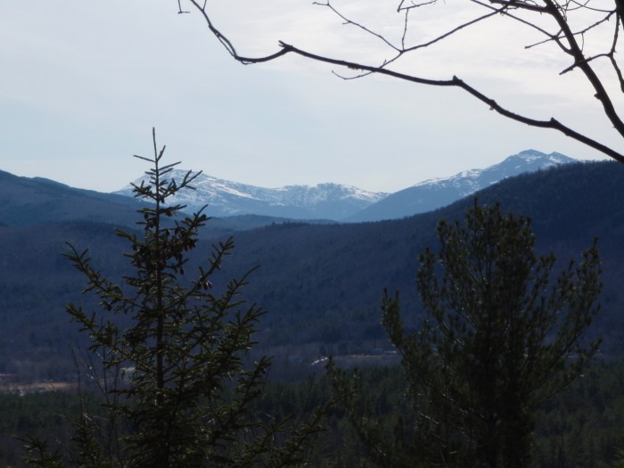 A nice view of the Presidential Range from Mary's Aerie.