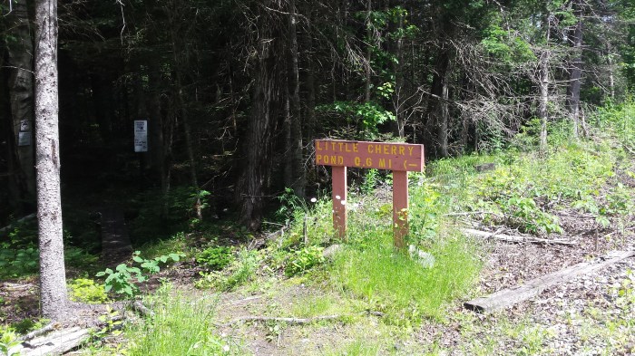 Spur trail to Little Cherry Pond is only 0.6 miles.