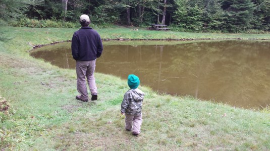 20140914_104418.jpg wildlife pond