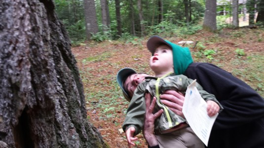 20140914_110100.jpg look up