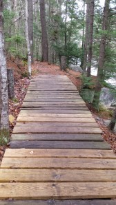 A bridge along the Gale River Trail.