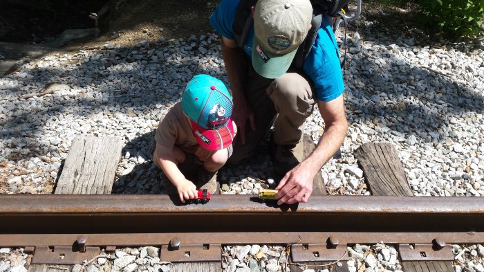 Who doesn't bring trains with them on a hike?  