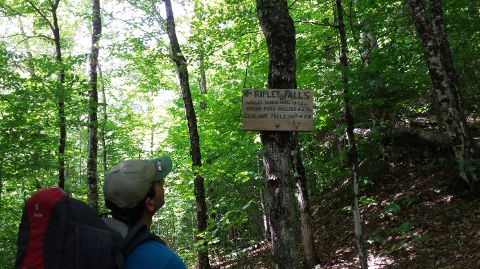 Stopping to read the sign to Ripley Falls.