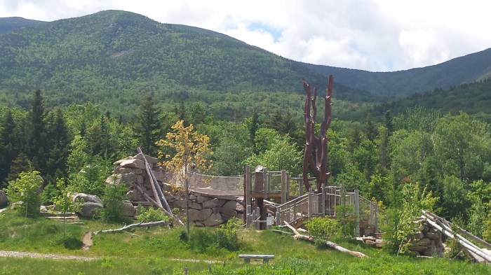 AMC Highland Center Natural Playground