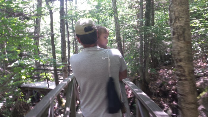 Walking on the boardwalk and looking at the scenery.