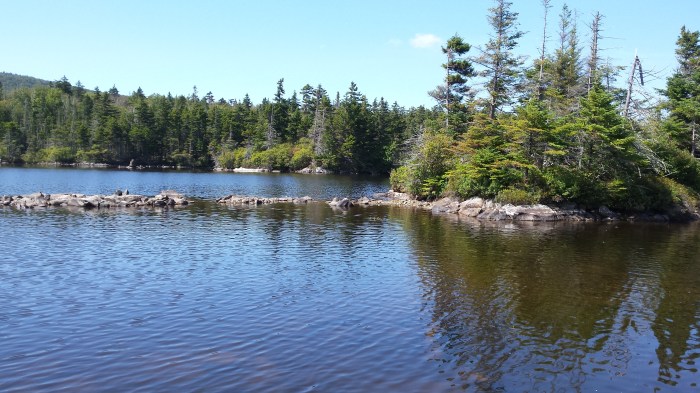Long Pond has many small islands to paddle around and explore.