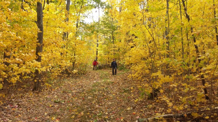 Andrew and Sarah walking in the yellow tunnel.